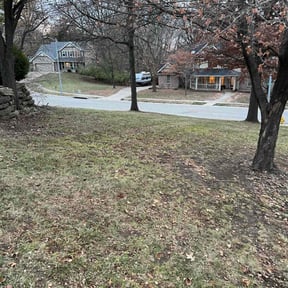 Leaf Removal by Gray's Lawn Service reviewed on April 14, 2022