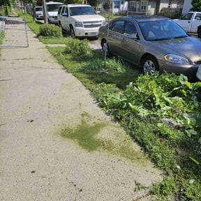 Bush Trimming by Oak Landscaping reviewed on April 11, 2022