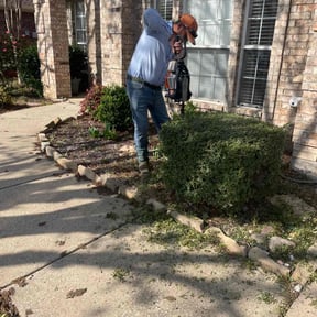Bush Trimming by Tejanos lawn&amp;Landscape reviewed on July 26, 2025
