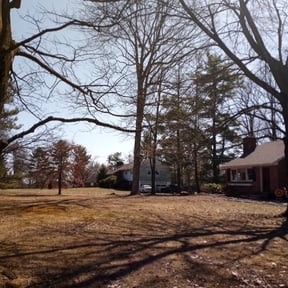 Leaf Removal by Reset ladscaping reviewed on June 21, 2022