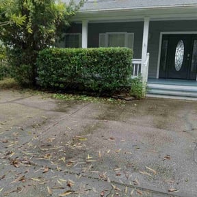 Bush Trimming by Yoshiro's Landscaping reviewed on July 1, 2022