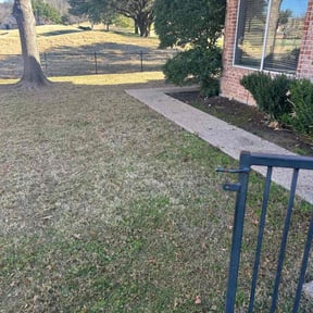 Leaf Removal by A Plus Lawn care reviewed on April 18, 2025