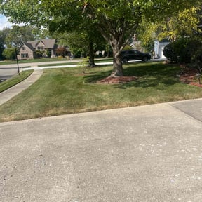 Flower Bed Weeding by Ron's lawn care reviewed on May 29, 2022