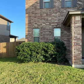 Bush Trimming by LSLTAustin/SanAntonioEmerald reviewed on August 17, 2024