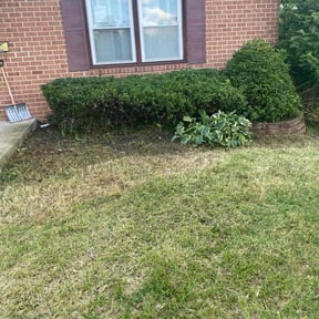 Cleanups by Willie Lawn Care and More LLC reviewed on June 7, 2022