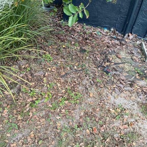 Flower Bed Weeding by HTS Landscapes reviewed on May 11, 2022
