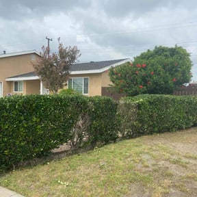 Bush Trimming by Forever Green FG LLC reviewed on October 11, 2024