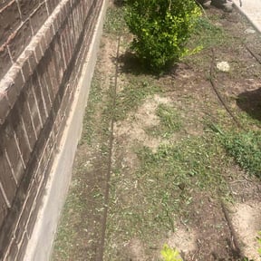 Flower Bed Weeding by Ledezma reviewed on December 20, 2024