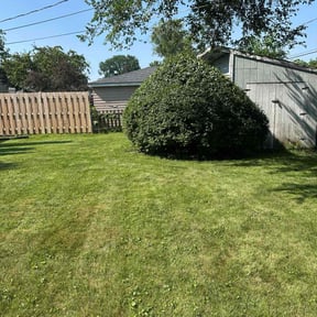Bush Trimming by 3D GARDEN DESIGN and lawn care reviewed on April 8, 2025