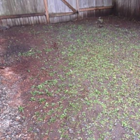 Cleanups by Clark and son lawn care reviewed on October 28, 2021