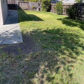 Bush Trimming by Default Remodel Services reviewed on April 19, 2022