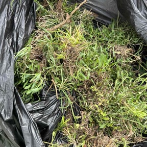 Weeding by Willie Lawn Care and More LLC reviewed on May 3, 2022