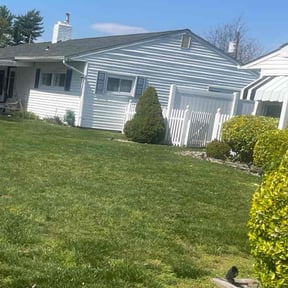 Bush Trimming by City Boys Lawn and Care reviewed on July 3, 2022