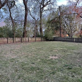 Leaf Removal by TruGreen LawnCare reviewed on October 14, 2024