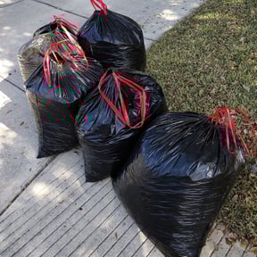 Leaf Removal by Ray Ramon reviewed on April 2, 2025