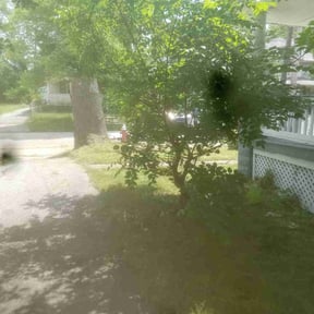 Bush Trimming by DreamworX LLC reviewed on May 27, 2022