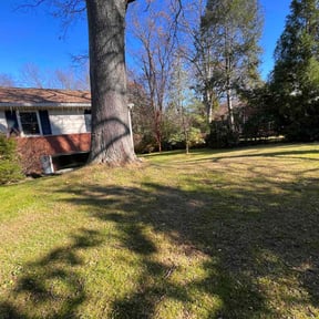 Leaf Removal by First Landscape reviewed on November 19, 2024