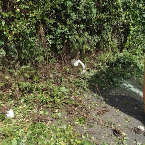 Landscaping by Regiment Property And Lawncare Inc reviewed on March 13, 2022