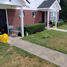 Bush Trimming by Cash&#039;s Mowing Service reviewed on March 12, 2025