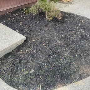 Flower Bed Weeding by Mills Landscaping reviewed on July 19, 2022