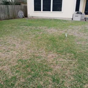 Leaf Removal by EZe quality scapes reviewed on February 10, 2025