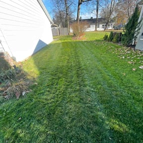 Leaf Removal by MaXX Lawn and Landscaping LLC reviewed on July 14, 2022