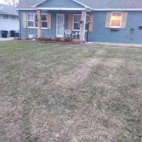 Leaf Removal by We Mow Omaha reviewed on June 23, 2024