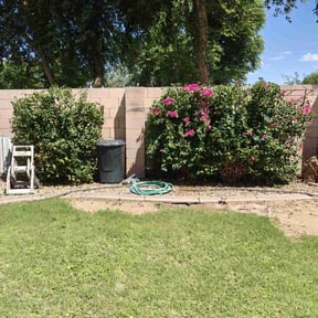 Bush Trimming by Father and son handyman reviewed on January 18, 2021