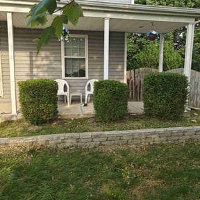 Bush Trimming by Da Munchez/ High 5 landscaping reviewed on August 9, 2022