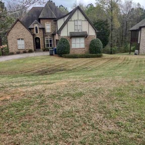 Bush Trimming by Ashby Lawn Service reviewed on May 22, 2022