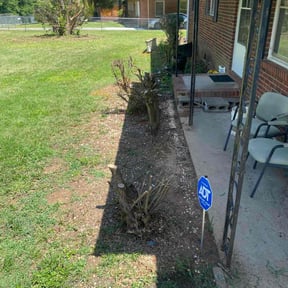 Bush Trimming by LSLTDallas/FortWorthTruGreen reviewed on August 12, 2024