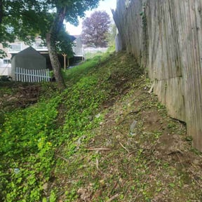Bush Trimming by Gulf Coast Renovations reviewed on May 31, 2022