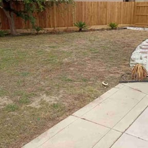 Cleanups by OT Lawn Service reviewed on February 24, 2025