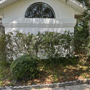 Bush Trimming by CM Lawn Service reviewed on April 19, 2025