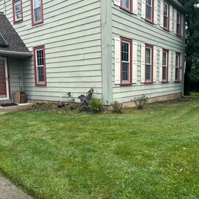 Bush Trimming by Mora Brothers Tree and Landscaping reviewed on July 29, 2022