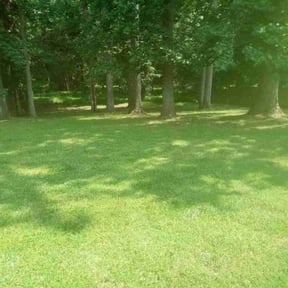 Cleanups by King of Lawn Care LLC reviewed on June 28, 2022
