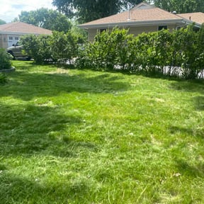 Bush Trimming by Lonestar Lawn Care & Landscpe reviewed on May 27, 2022