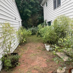 Bush Trimming by Greenworx Lawn Care reviewed on May 15, 2022