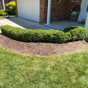 Bush Trimming by The Green Op reviewed on June 22, 2022