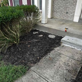 Flower Bed Weeding by Precision Strokes reviewed on April 15, 2022