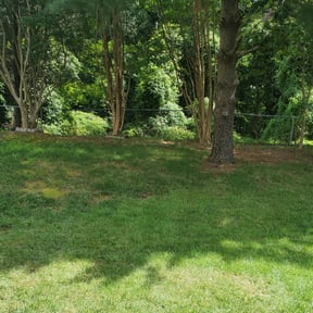 Bush Trimming by Greg's gardens reviewed on October 24, 2024