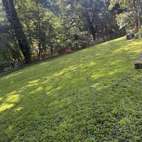 Leaf Removal by C & A Elite Landscaping reviewed on November 7, 2024