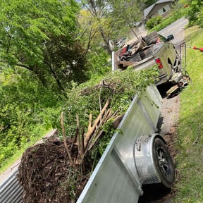 Cleanups by Midwest Ecoscapes reviewed on April 13, 2025