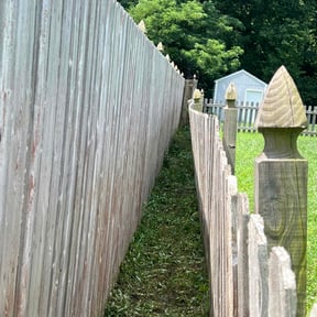 Weeding by Elogantlawn, llc reviewed on July 4, 2025