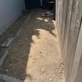 Flower Bed Weeding by TruGreen LawnCare reviewed on June 25, 2025