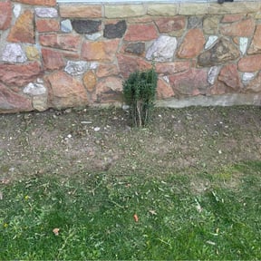 Flower Bed Weeding by FRL Landscaping reviewed on September 15, 2021