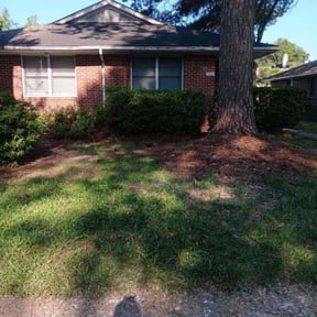 Cleanups by Type A Lawn Guy reviewed on June 24, 2025