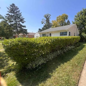 Bush Trimming by Curb Appeal Landscaping reviewed on April 20, 2022