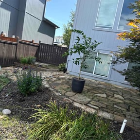 Flower Bed Weeding by HRF Lawn Care Plus reviewed on August 6, 2022