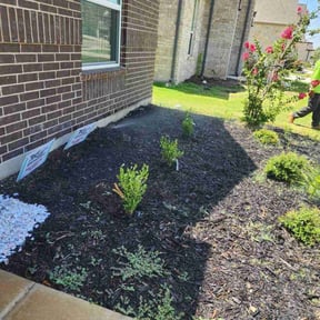 Landscaping by pnp concrete reviewed on October 23, 2022